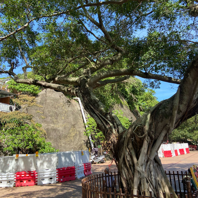 鯉魚門 — 風情萬種的海港漁村
