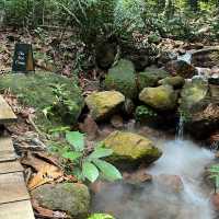 The Lush Cafe @ Gunung Lambak