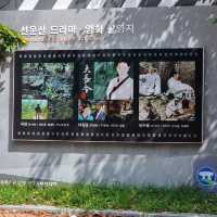 일제에서 돌아온 지장보살