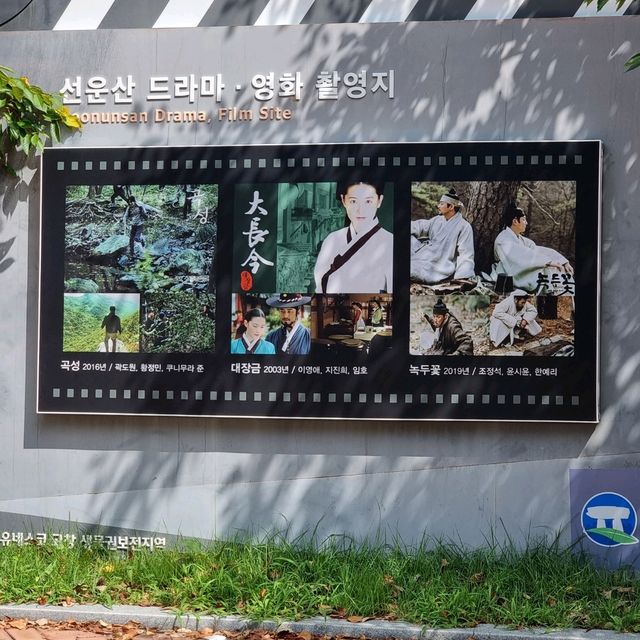 일제에서 돌아온 지장보살