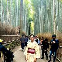 Walk around the bamboo grove with kimono 👘 