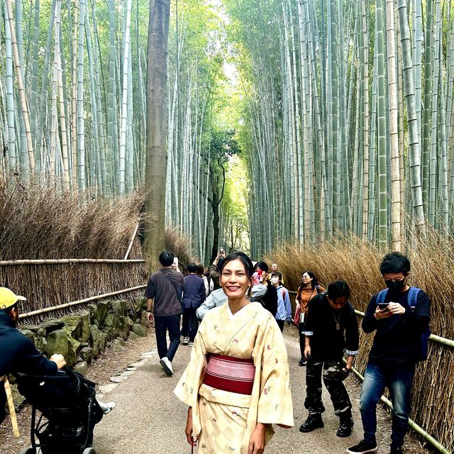 Walk around the bamboo grove with kimono 👘 