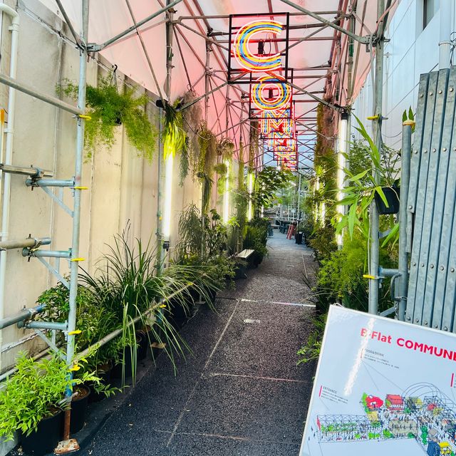 🇯🇵 Omotesando walking street