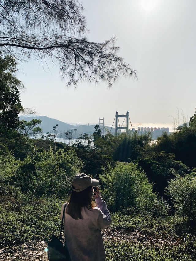 觀賞青馬大橋的行山之旅