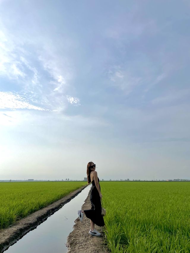left my 👣 at the paddy field 🌾