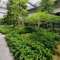 Bamboo Hills