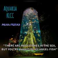 The Gateway to The Marine World