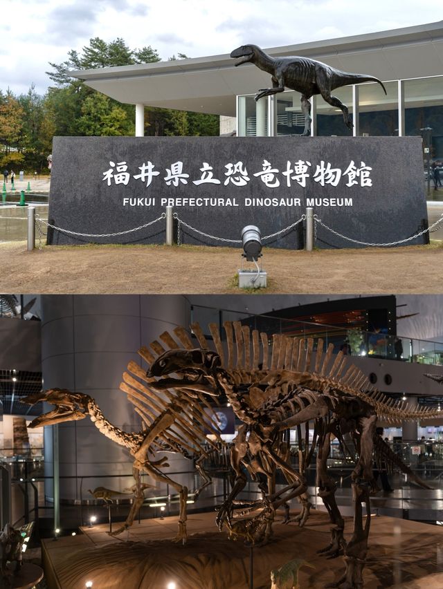【福井県/勝山市】7月にリニューアル！世界三大恐竜博物館