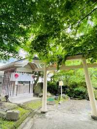 【青森県/善知鳥神社】2023年行ってよかった！青森県の神社①