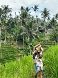 Ubud’s beauty 🌱🌳