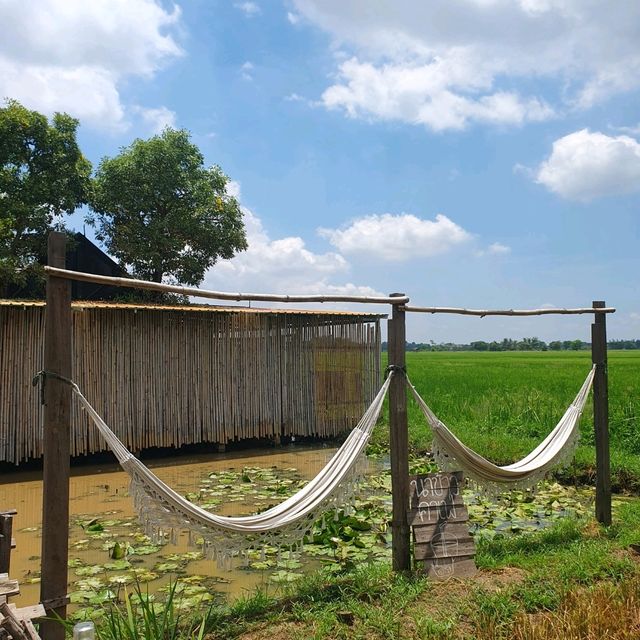 นาข้าว คาเฟ่ 🌾🌾