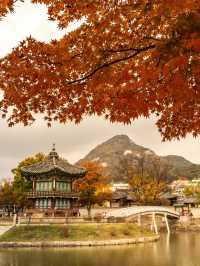 首爾好去處| 踏入歷史的寶座——景福宮