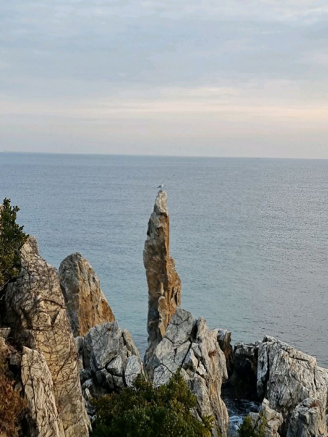금빛 파도가 찰랑이는 흰모래 해변, 추암해수욕장