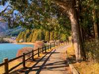 จุดชมวิวทะเลสาบทะนุกิ (Tanuki Lake)