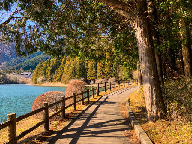 จุดชมวิวทะเลสาบทะนุกิ (Tanuki Lake)