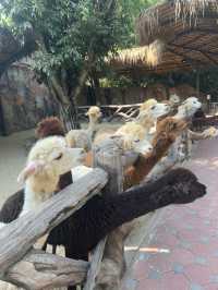 Safari World