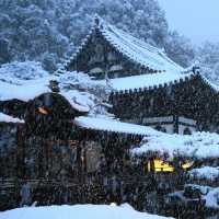 雪裡遊玩😆千光寺