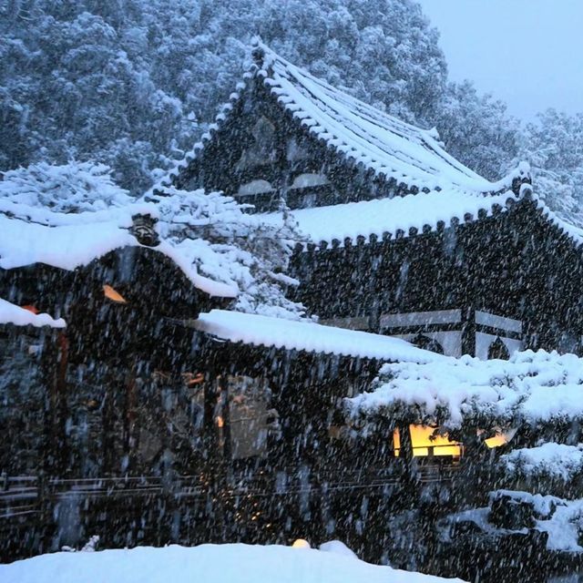 雪裡遊玩😆千光寺