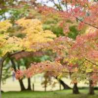 A scenic garden in Okayama