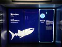 Kaiyukan พิพิธภัณฑ์สัตว์น้ำกลางเมืองโอซาก้า 🐋