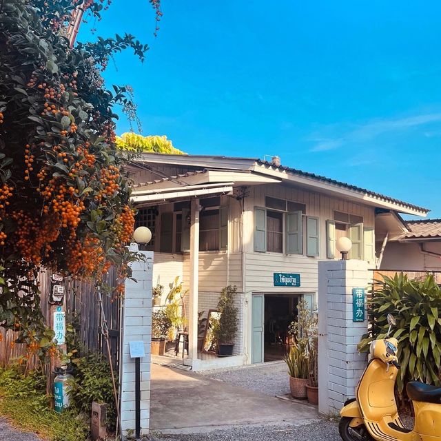 🏡 ใต้ถุนบ้าน 带福办 🏡
