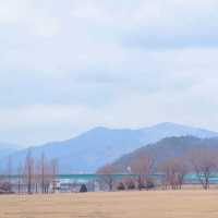 겨울에도 산책하기에 너무 좋은 가평 자라섬