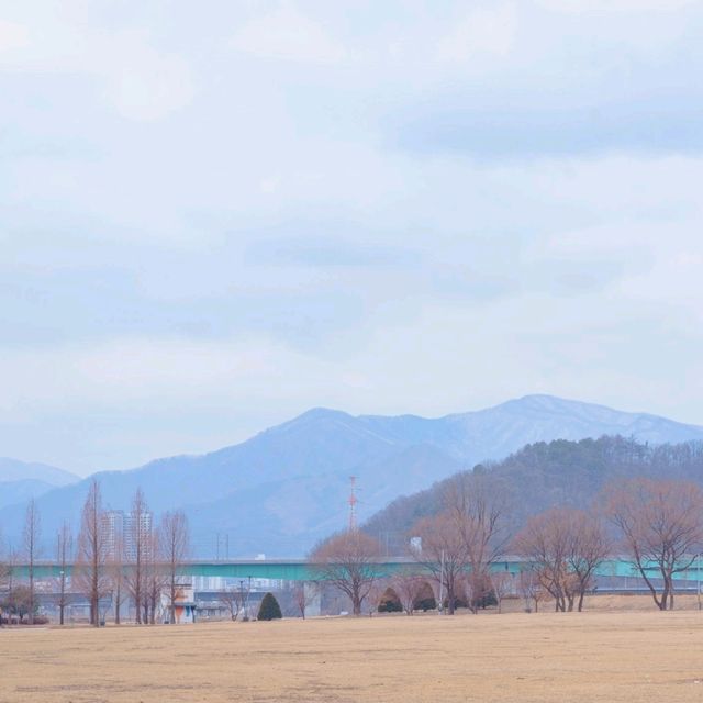 겨울에도 산책하기에 너무 좋은 가평 자라섬