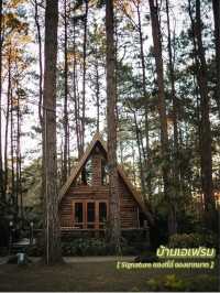 พาไปป่าสนเชียงใหม่ ที่ขึ้นชื่อเรื่องจองยากมากก 🪵🌲