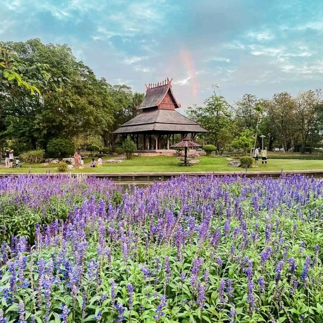 นั่งปิกนิก ปั่นเรือเป็ด ที่สวนหลวงร.9