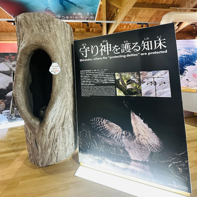 知床世界遺產中心（知床世界遺産センター）