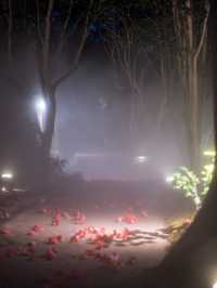 【春色に染められた雲海！☁️】椿山荘の桜雲海が幻想的すぎる🌸✨