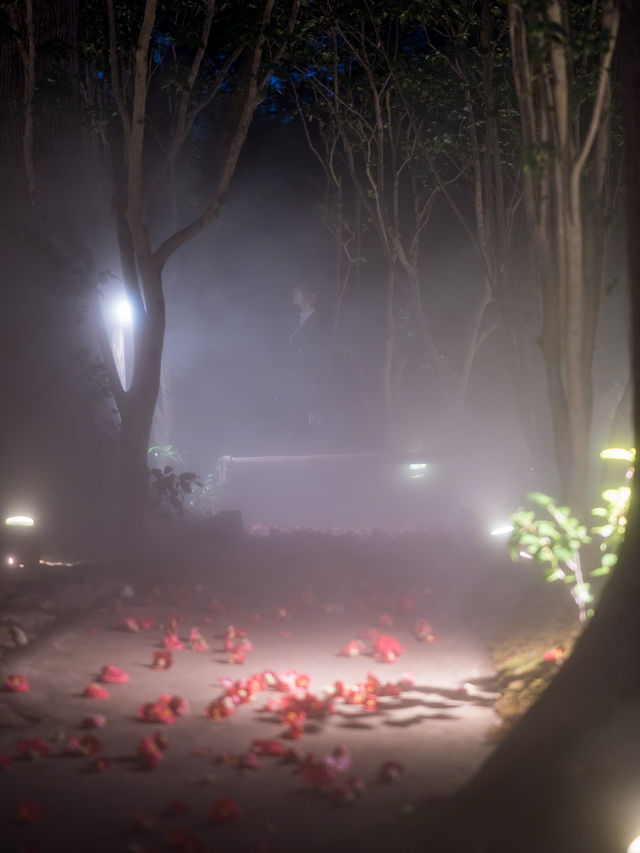 【春色に染められた雲海！☁️】椿山荘の桜雲海が幻想的すぎる🌸✨