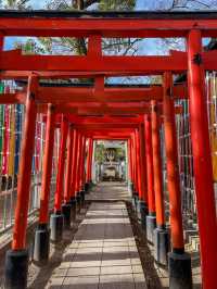 【大阪】布忍神社でイチハラヒロコ恋みくじ