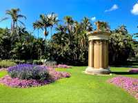 The Sydney Fernery