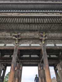 世界遺産【仁和寺】のニ王門は、２体の金剛力士像達に護られている