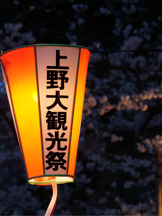 上野公園桜祭り