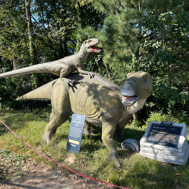 A Prehistoric Adventure in the Skies