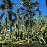 【臺北景點】臺北植物園：大自然之美，綠野仙境