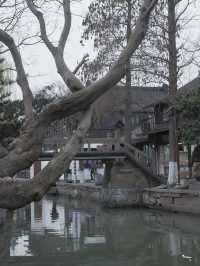 上海郊游，江南小鎮朱家角 