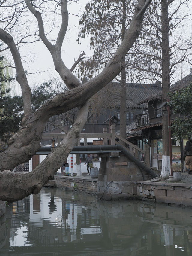 上海郊游，江南小鎮朱家角 