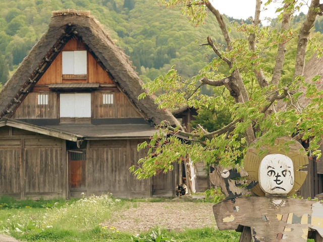 Shirakawago ฤดูใบไม้ผลิ