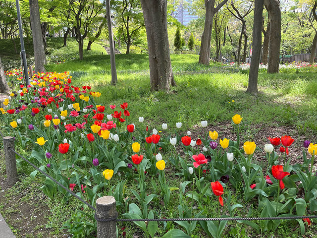 【都庁の隣の癒し公園★】新宿中央公園