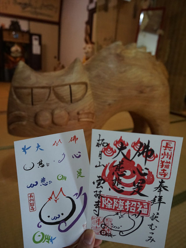 【山口】猫好きさん必見！猫だらけのお寺♡