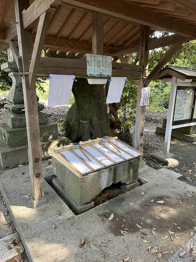 【福岡】鬼滅の刃のあの岩！？がある神社