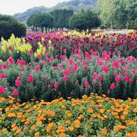 Highest mountain at Doi Inthanon National Park