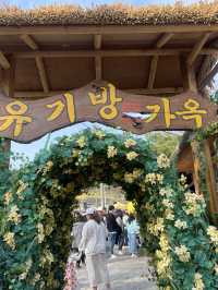 봄꽃 수선화 명소 서산 유기방가옥🥰