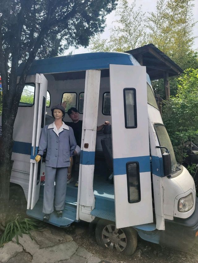 우연히 만나 더 예뻤던 전주 목향장미💛