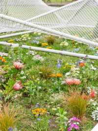 【東京都/日比谷】花と光とアートに包まれる公園