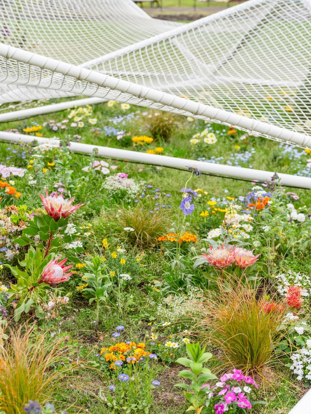 【東京都/日比谷】花と光とアートに包まれる公園