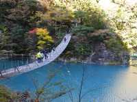 静岡の秘境！寸又峡の夢の吊り橋